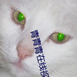 青青(青)青在线视(視)频人视频在线