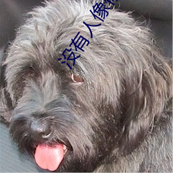 没(沒)有(有)人像你(你)