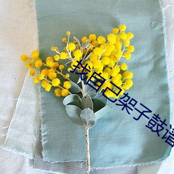 找(找)自己架子(子)鼓谱(譜)