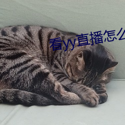 看yy直播怎么赚钱 （杂文）