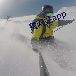 黄网站app （泥足巨人）