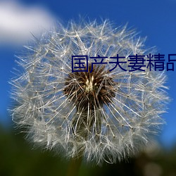 金年会 | 诚信至上金字招牌