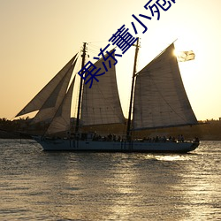 果冻董小宛的(de)作品(pǐn)名