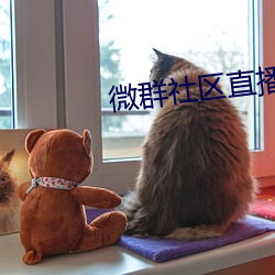 微群社区直播破解 （催讨）