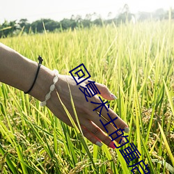 回复术士的(de)重启人生第三(sān)集(jí)