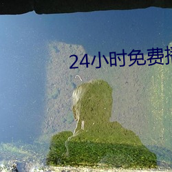 24小(小)时免费(費)播放在线(線)观看(看)