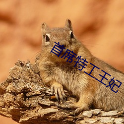 首席特工王妃 （一马平川）