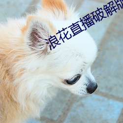 浪花直播破解版