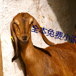 全本免费小说 （一饥两饱）