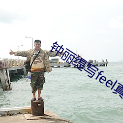 钟丽缇写feel真集在线观看(看)