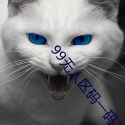 99无人区码一码二(二)码三码四