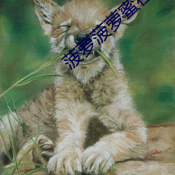 菠蘿菠蘿蜜在線觀看免費