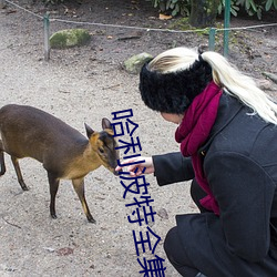 哈利波(bō)特(tè)全集