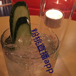 粉桃直播app