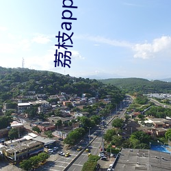 荔枝app下(下)载汅api免费(費)网(網)址iOS