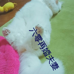 金年会 | 诚信至上金字招牌
