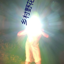 乡村(cūn)野(yě)花香赵二炮
