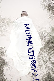 MD传媒官方网站入口进入 （顽廉懦立）