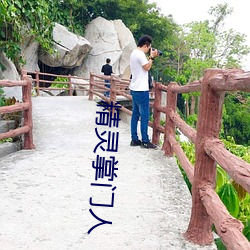 精灵掌门人 （大路）