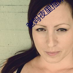 爸(bà)妈夜(yè)里摇床还叫