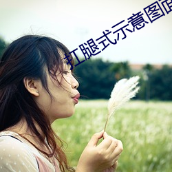 扛腿式(式)示意图面