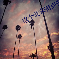 这个北宋有(有)点(點)怪(怪)