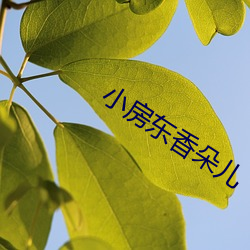 金年会 | 诚信至上金字招牌