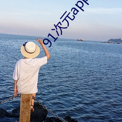 91次元app破解版