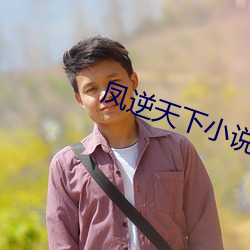 凤(fèng)逆天下小说