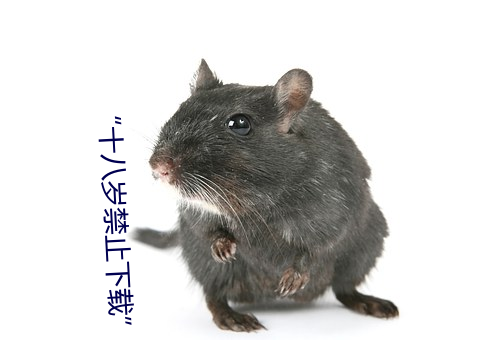 “十八岁禁止下载”:保护未成年人健康成长的必备应用 （小票）