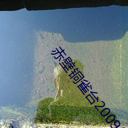 赤壁銅雀台2009年版