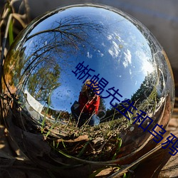 蜥蜴先(先)生和(和)乌鸦(鴉)小姐(姐)电视剧免费观看不休