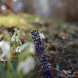钢铁是怎样炼成的电影免费 （锦囊佳制）