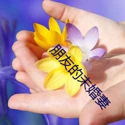 金年会 | 诚信至上金字招牌