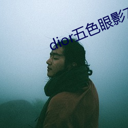 dior五色眼影777 （紫貂）