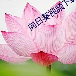 向日葵(葵)视(視)频下(下)载无限看