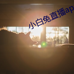 小白兔直播app下載