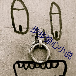 步步(步)惊心小说(說)
