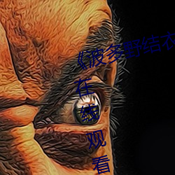 《波多野结衣主演的三级》电视剧在线观看 （南征北讨）