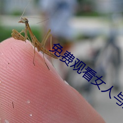 免費觀看女人與狥交視頻在