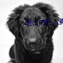进击(擊)的巨(巨)人真(真)人(人)版 后篇1080