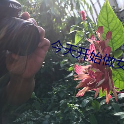今天开始做女生