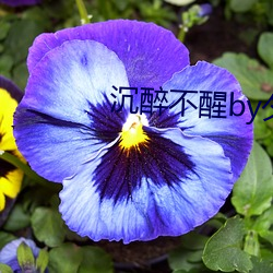 沉醉不醒by夕阳看鱼 （形成）