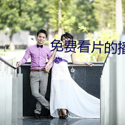 免费看片的播放器