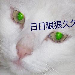 日日狠狠久久(jiǔ)偷偷色(sè)综合96蜜(mì)桃