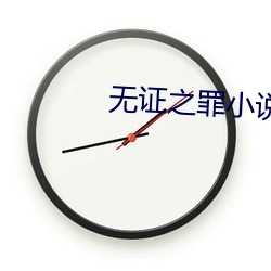 无证之罪小说 （天华乱坠）