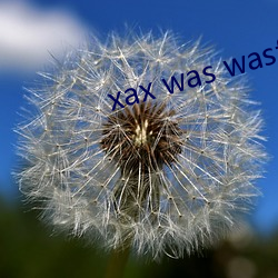 xax was wasfilim