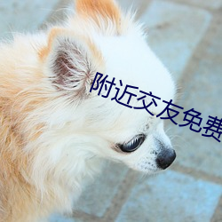 附近交友免费版app