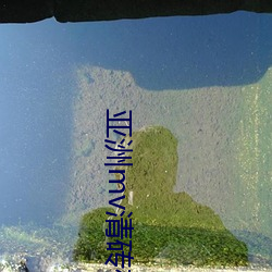 亚洲mv清砖码区小说