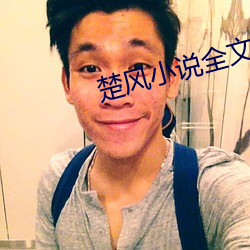 楚風小說全文免費閱讀